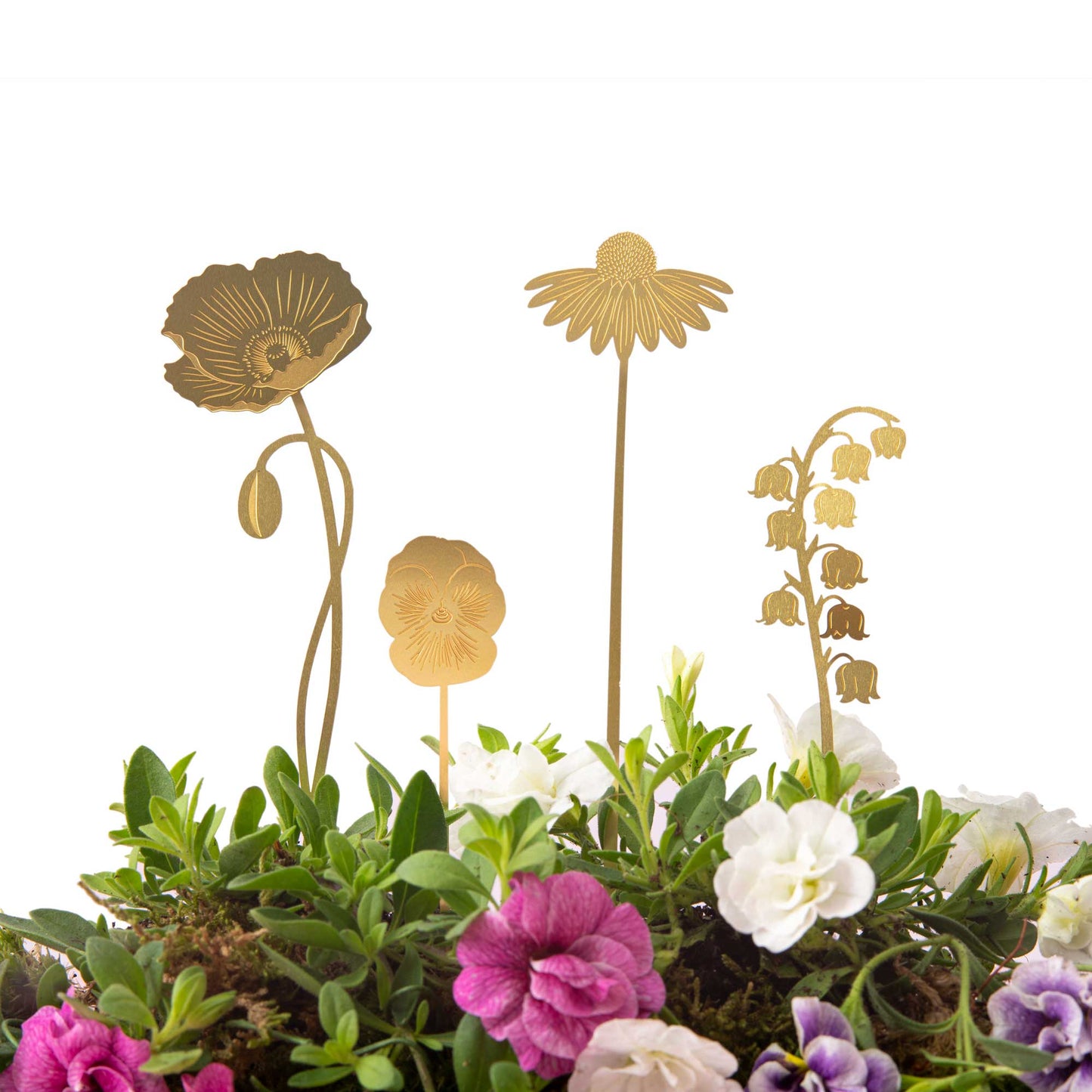 Brass plant pot flowers