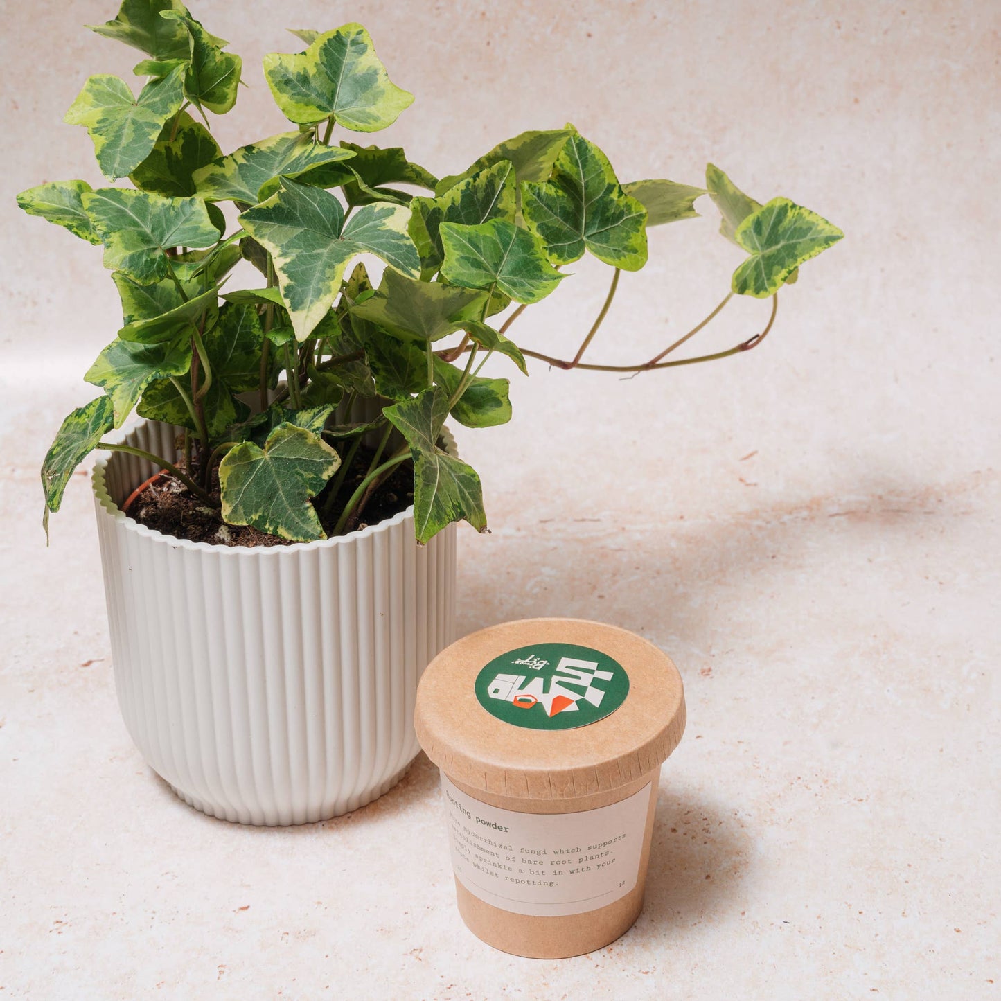Rooting Powder: Small