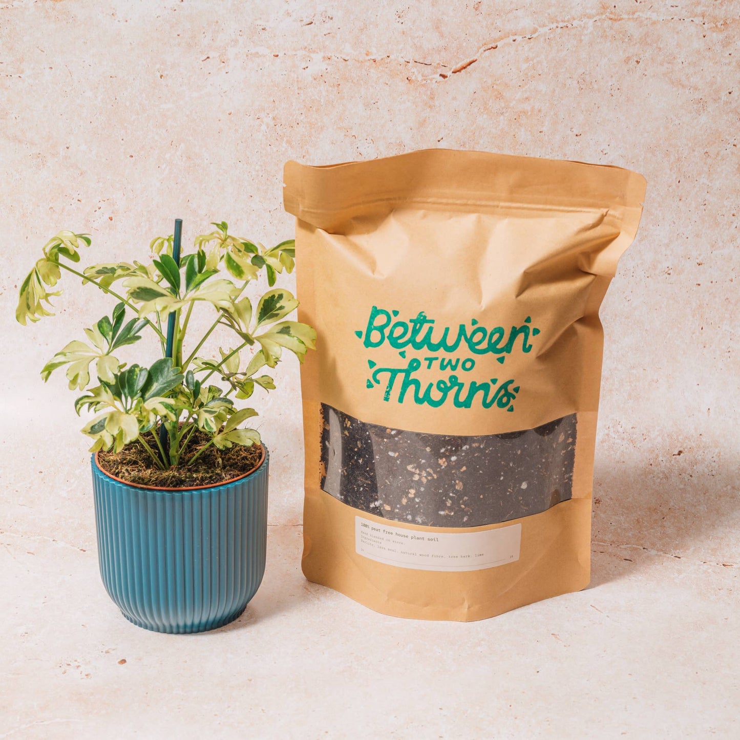 Peat- Free Houseplant Soil With Substrates : 1kg