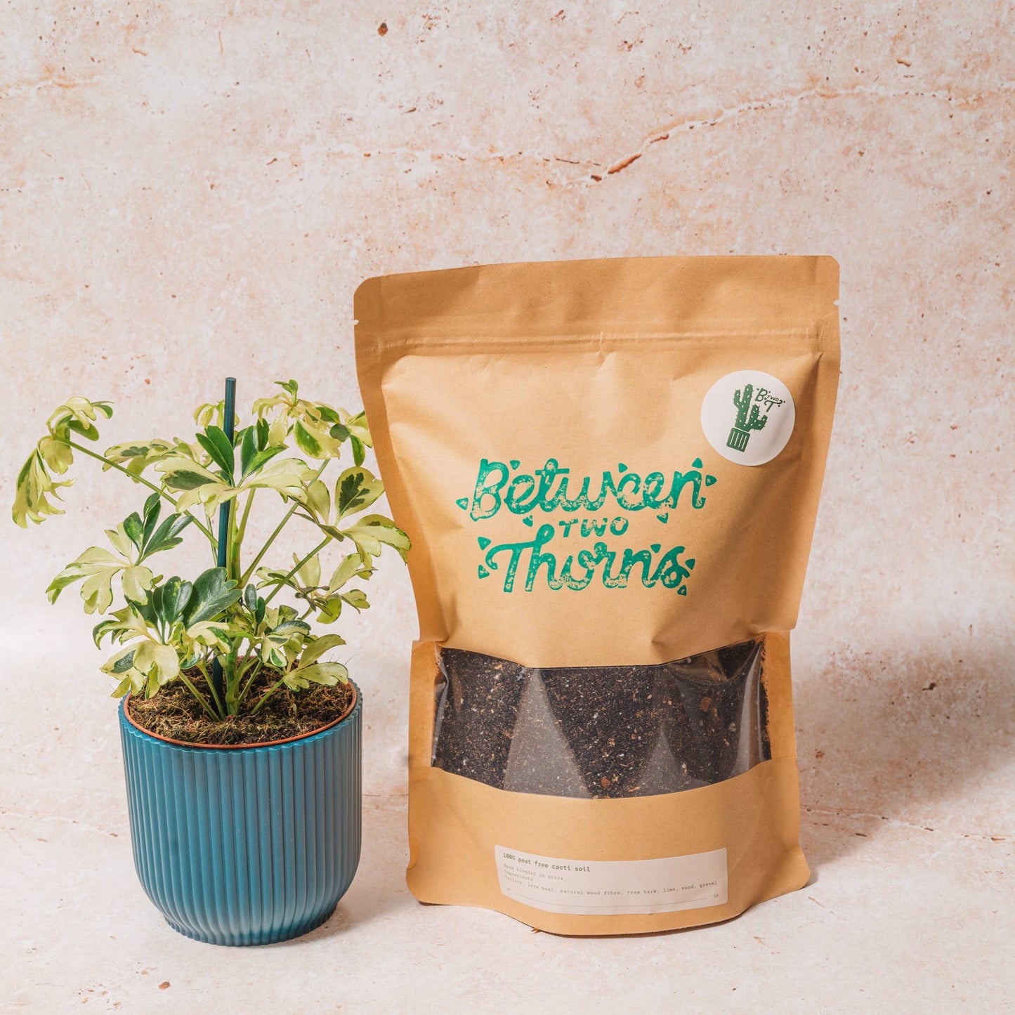 Cacti and Succulent Soil: 1kg