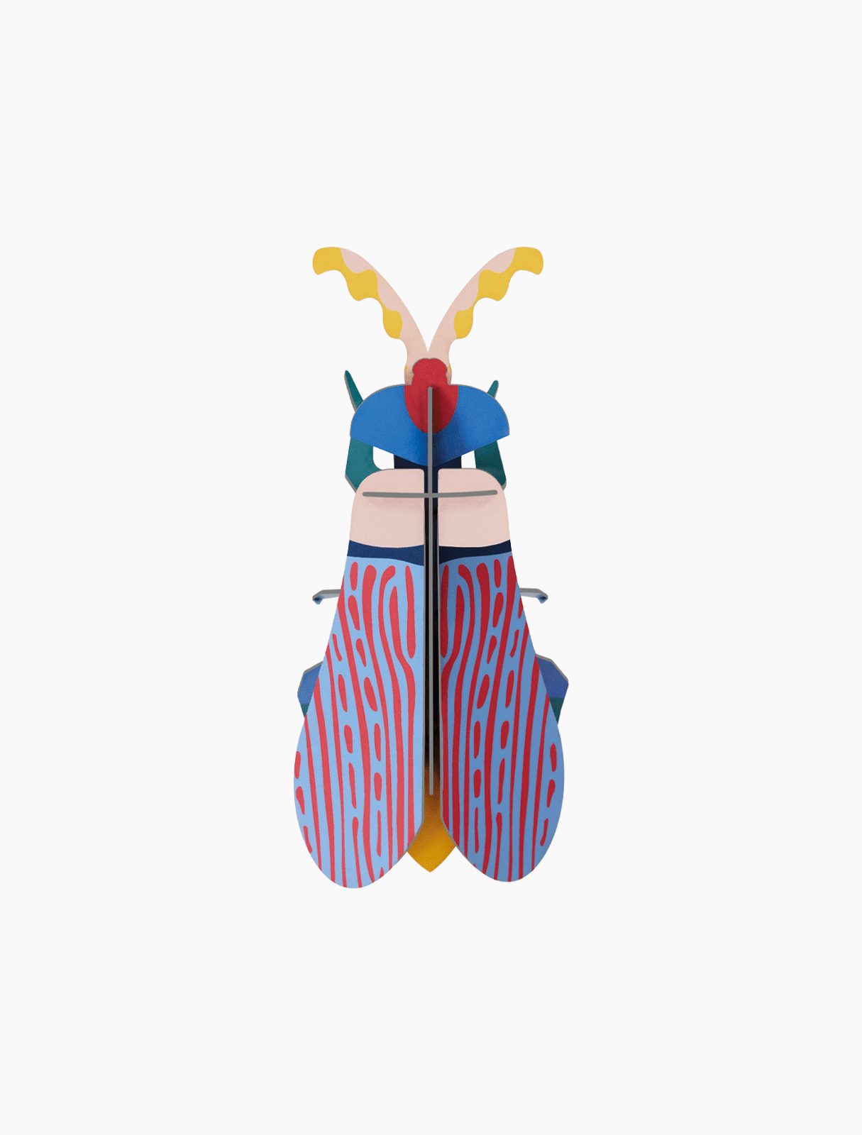 Studio Roof Insect (S) - Striped Wing Beetle