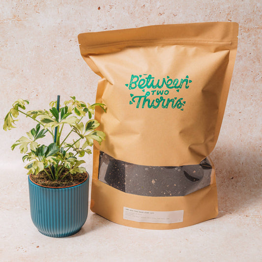 Peat- Free Houseplant Soil With Substrates : 1kg