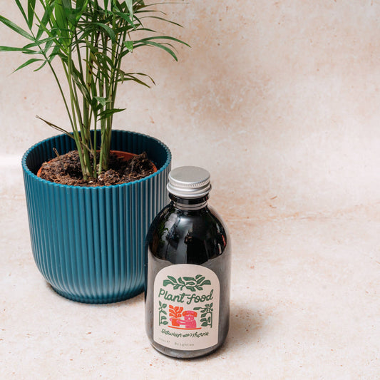 Seaweed Plant Feed: 250ml