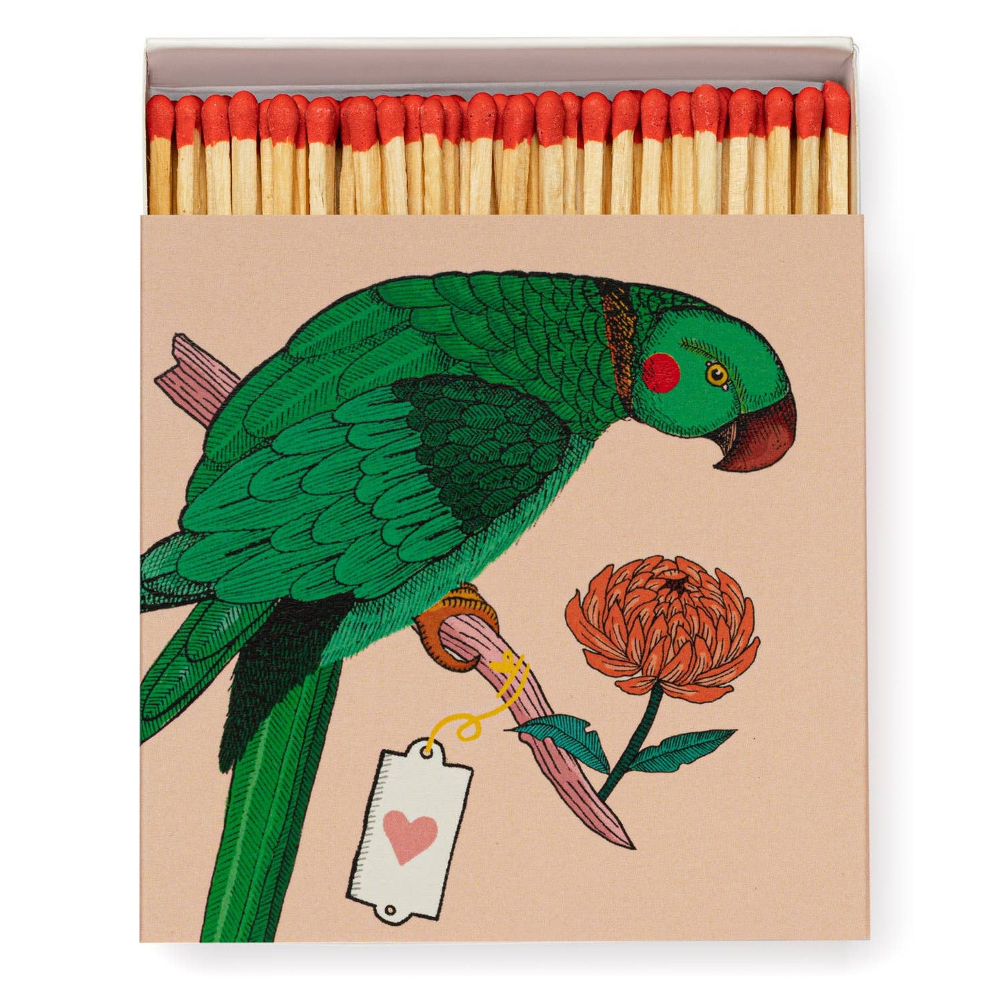 Parrot | Square Matchboxes